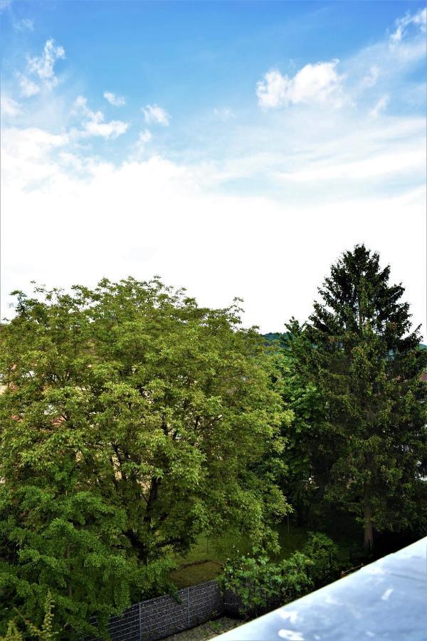 Appartement Heiligenbergblick à Heidelberg Extérieur photo